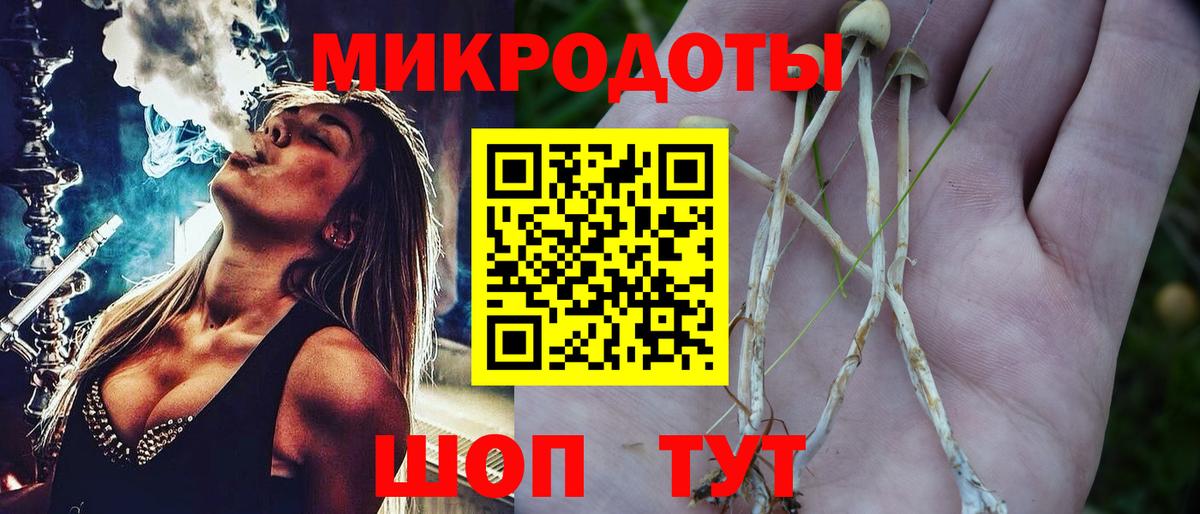Павловский Посад  Галлюциногенные грибы Magic Shrooms  где можно купить наркотик  Вход с VPN 