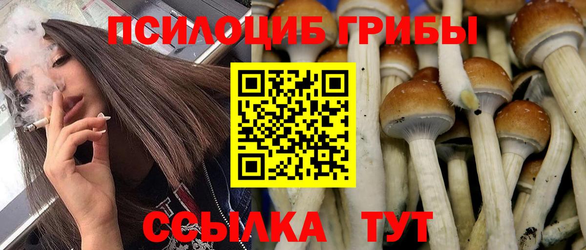 Псилоцибиновые грибы прущие грибы Павловский Посад